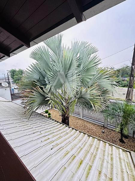 Sobrado no Jo�o Costa | Porteira Fechada | 300m� 51