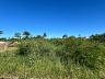 Terreno 6