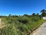 Terreno 7