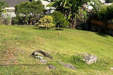 Terreno à venda, 350m² - Ariribá - Balneário Camboriú