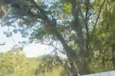 Terreno no Estaleiro