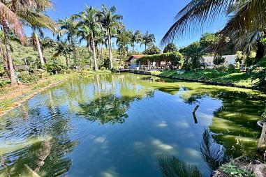 Chácara com 3 quartos à venda, 70000m², 5 banheiros - Córrego São João Pequeno - Colatina