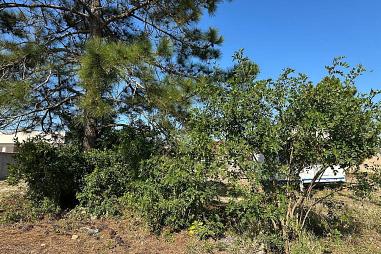 Terreno à venda no bairro Quatro Lagos - Arroio do Sal/RS