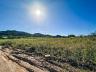 Terreno � Venda em Itajub�, Barra Velha | 300m� Pronto para Construir 6