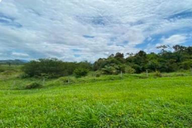 Terreno 40.233m², Jardim Viviane, Balneário PIçarras, SC