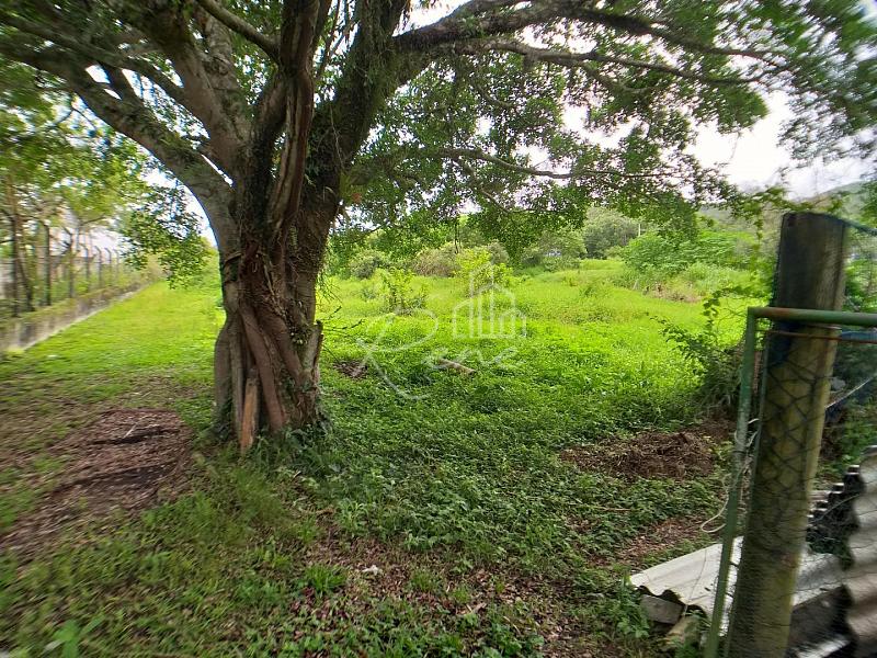 Terreno com 3.961m², Estaleirinho, Balneário Camboriú, SC — foto 4