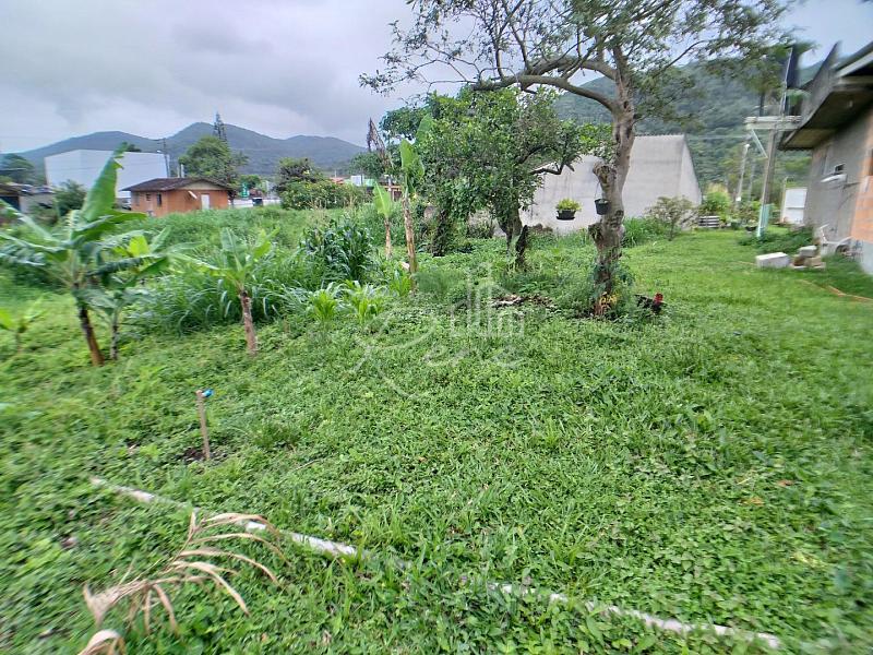 Terreno com 3.961m², Estaleirinho, Balneário Camboriú, SC — foto 2