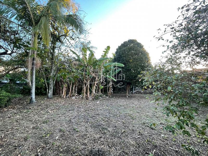 Terreno, 1.188m², Centro, Camboriú, SC — foto 6