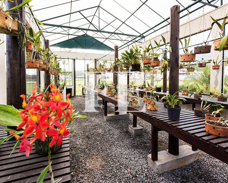 TERRENO A VENDA NO CONDOMÍNIO CALEDÔNIA DE ESQUINA EM FRENTE AO BOSQUE — foto 19