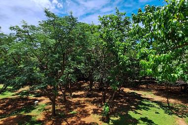 Terreno no Solar das Esmeraldas