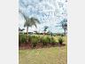 Lote no Parque Fortaleza I 24