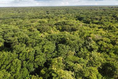 100 Hectares para lavoura Soja em Cocal - Norte do Piauí