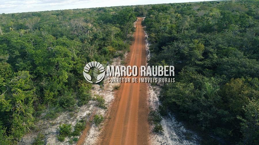 1220 Hectares para lavoura — foto 10