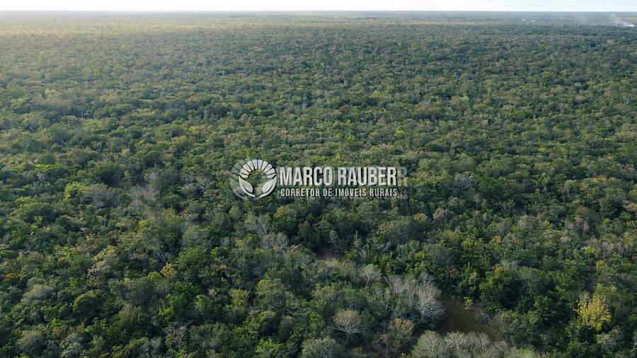 1220 Hectares para lavoura — foto 11