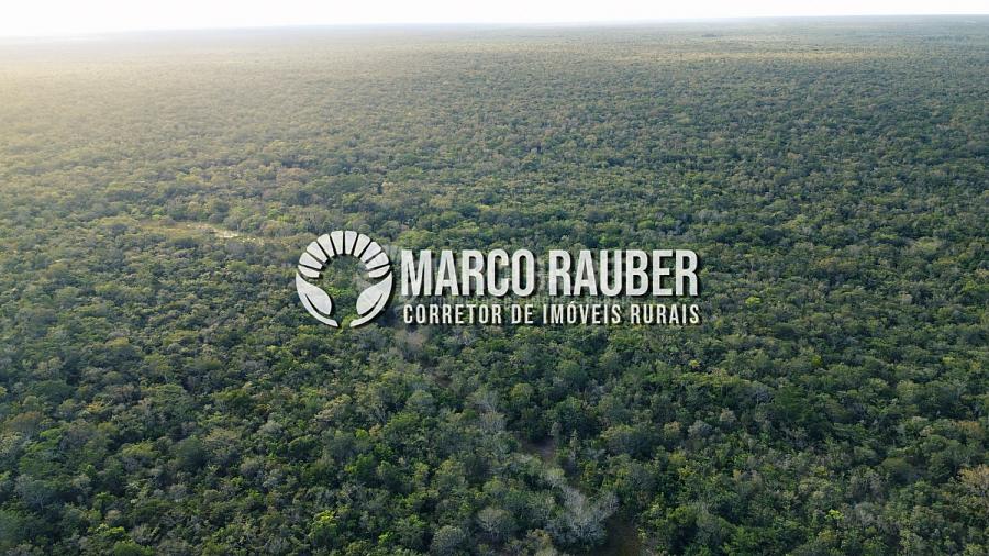 1220 Hectares para lavoura — foto 12