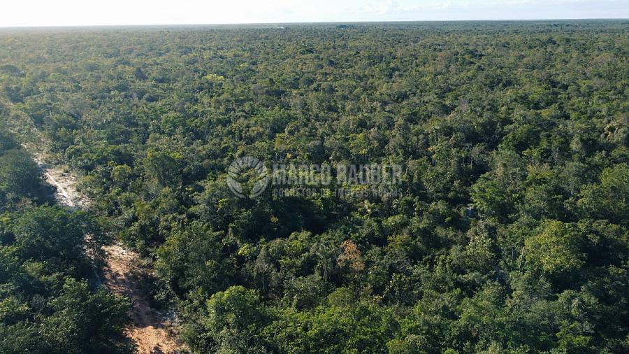 1220 Hectares para lavoura — foto 2