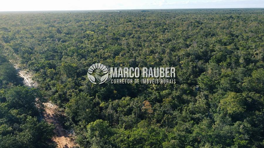 1220 Hectares para lavoura — foto 3