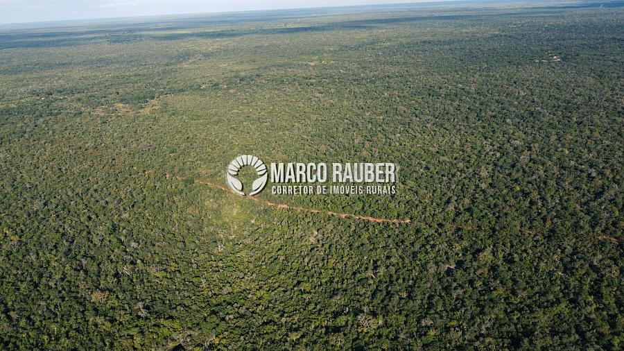 1220 Hectares para lavoura — foto 4