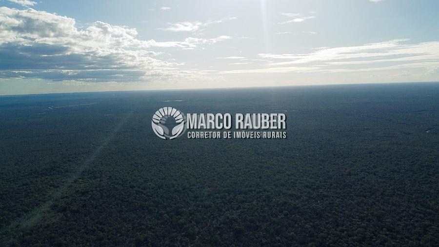 1220 Hectares para lavoura — foto 5