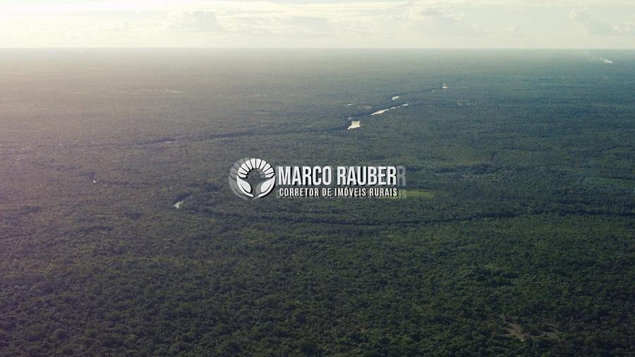 1220 Hectares para lavoura — foto 6