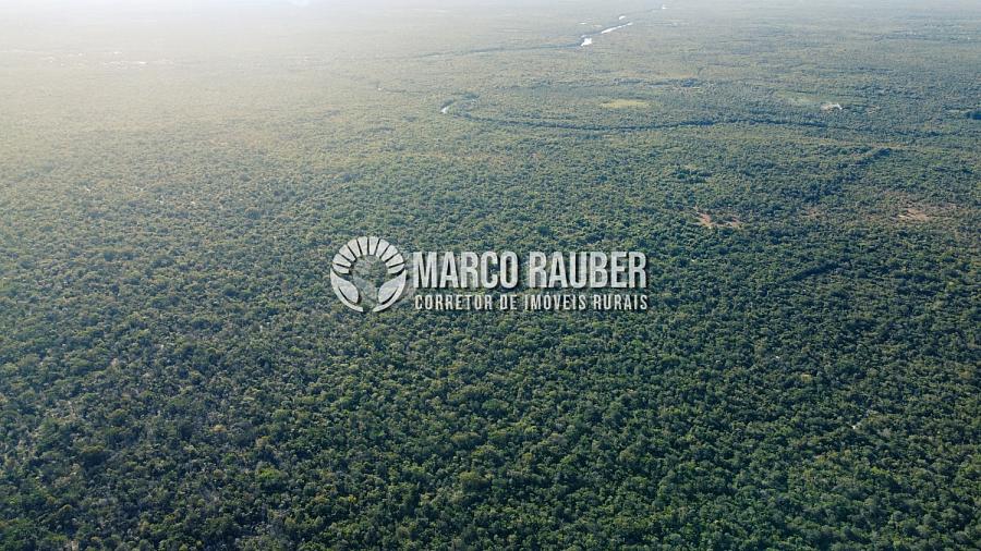 1220 Hectares para lavoura — foto 7