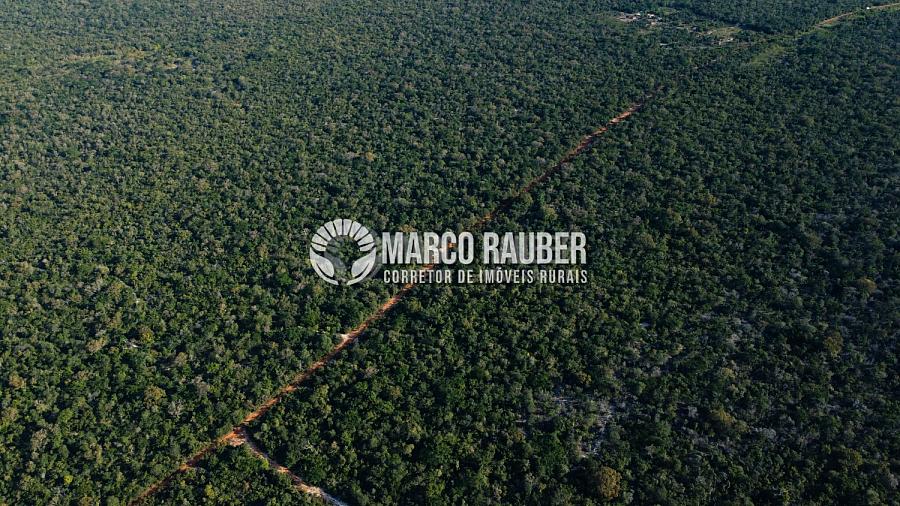 1220 Hectares para lavoura — foto 8