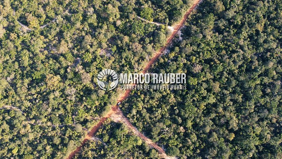 1220 Hectares para lavoura — foto 9