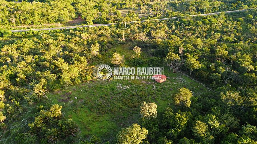 86 Hectares encostado na BR343 sentido Parnaiba — foto 2