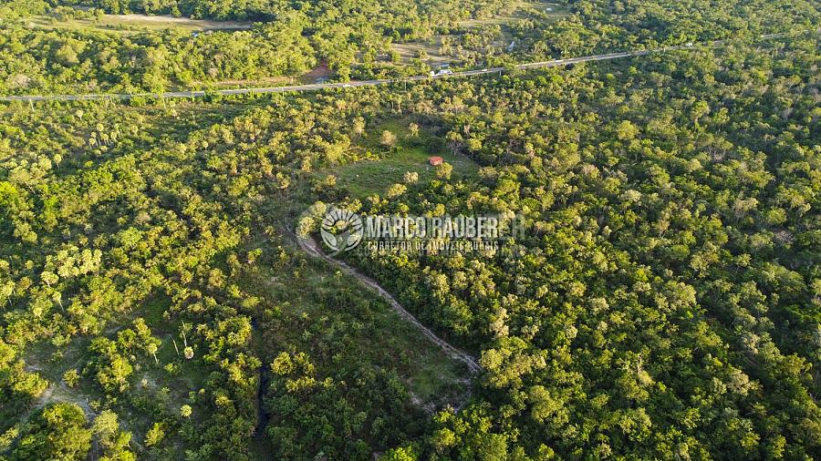 86 Hectares encostado na BR343 sentido Parnaiba — foto 3