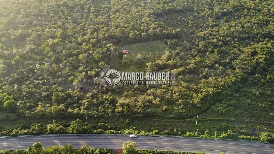 86 Hectares encostado na BR343 sentido Parnaiba — foto 4