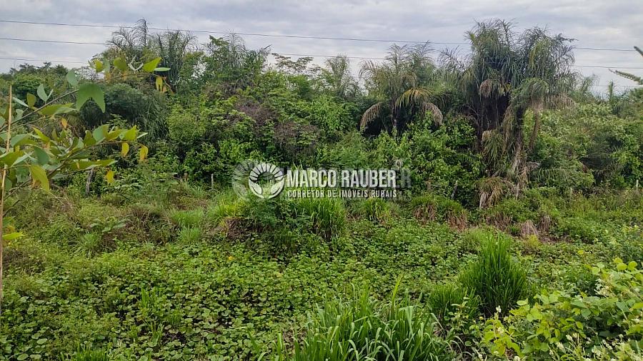 86 Hectares encostado na BR343 sentido Parnaiba — foto 5