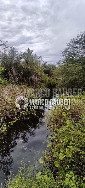 86 Hectares encostado na BR343 sentido Parnaiba — foto 6