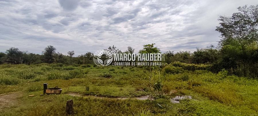 86 Hectares encostado na BR343 sentido Parnaiba — foto 8
