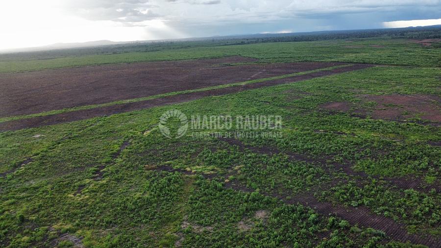 100 Hectares para lavoura Soja em Cocal - Norte do Piauí — foto 3