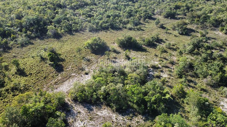 506 Hectares para lavoura em Capitão de campos Piauí — foto 6