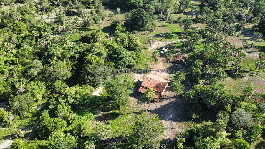 506 Hectares para lavoura em Capitão de campos Piauí — foto 2