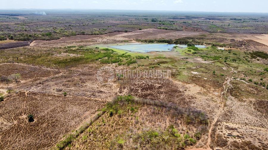 278 hectares em Capitão de Campos — foto 4