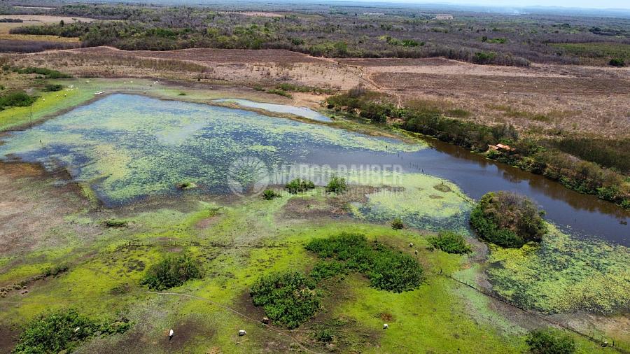 278 hectares em Capitão de Campos — foto 15