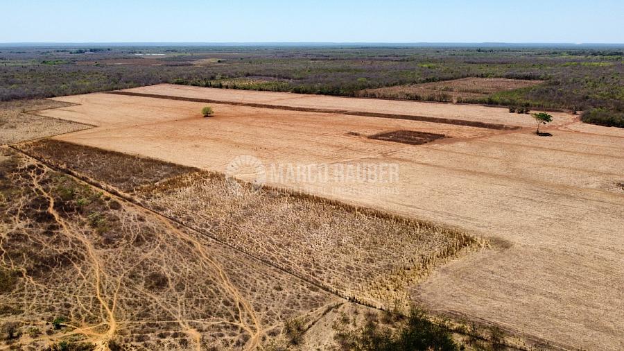 278 hectares em Capitão de Campos — foto 2