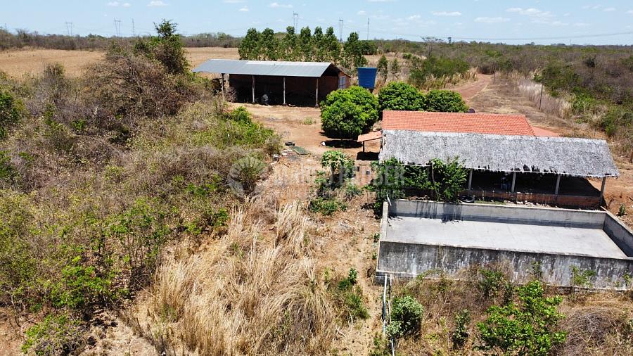 278 hectares em Capitão de Campos — foto 5