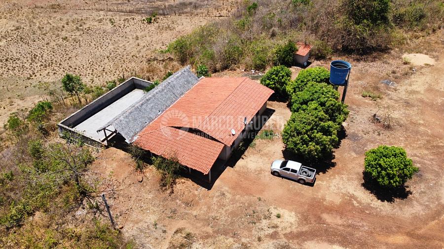 278 hectares em Capitão de Campos — foto 17