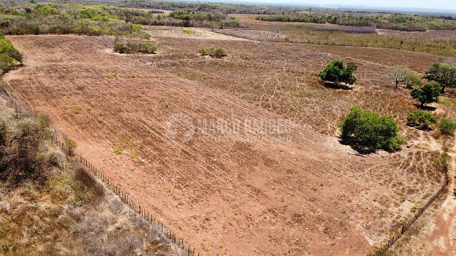 278 hectares em Capitão de Campos — foto 7