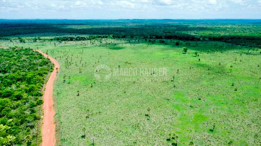 Fazenda com 1901 Hectares em Batalha — foto 2