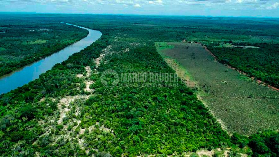 Fazenda com 1901 Hectares em Batalha — foto 6