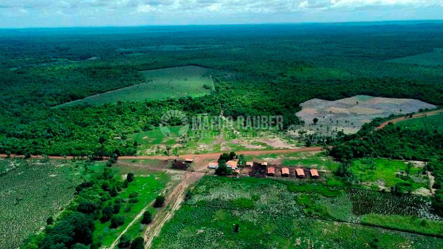 Fazenda com 1901 Hectares em Batalha — foto 8