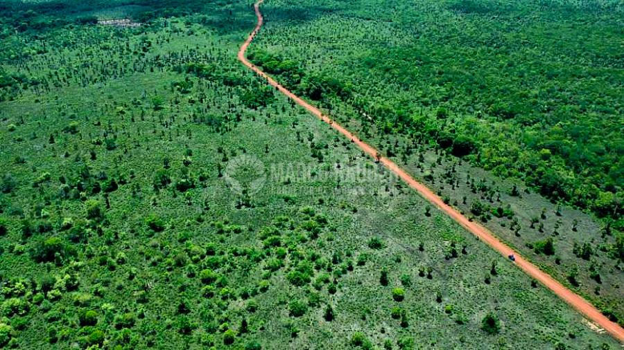 Fazenda com 1901 Hectares em Batalha — foto 9