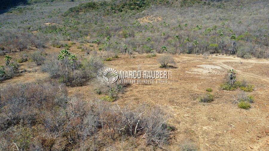 Terra para pecuaria e extração de minerio — foto 2