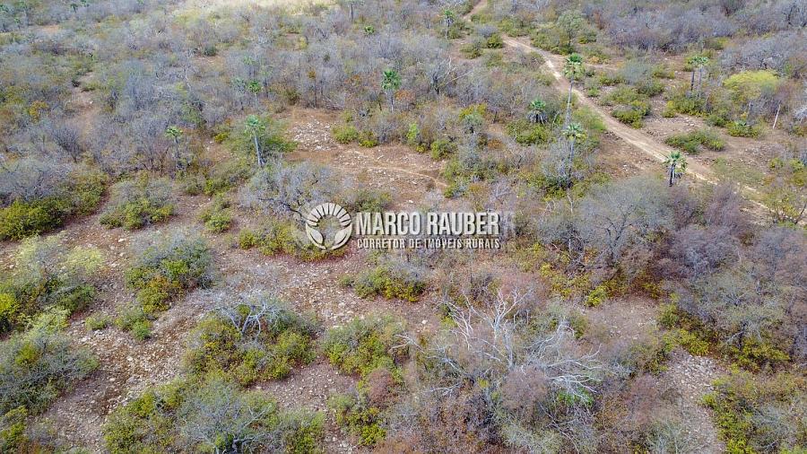 Terra para pecuaria e extração de minerio — foto 10