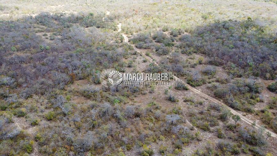 Terra para pecuaria e extração de minerio — foto 11