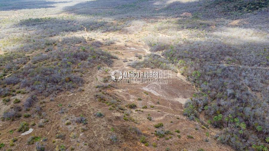 Terra para pecuaria e extração de minerio — foto 12